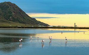 Cabo de Gata captó más de un millón de euros para restaurar sus salinas