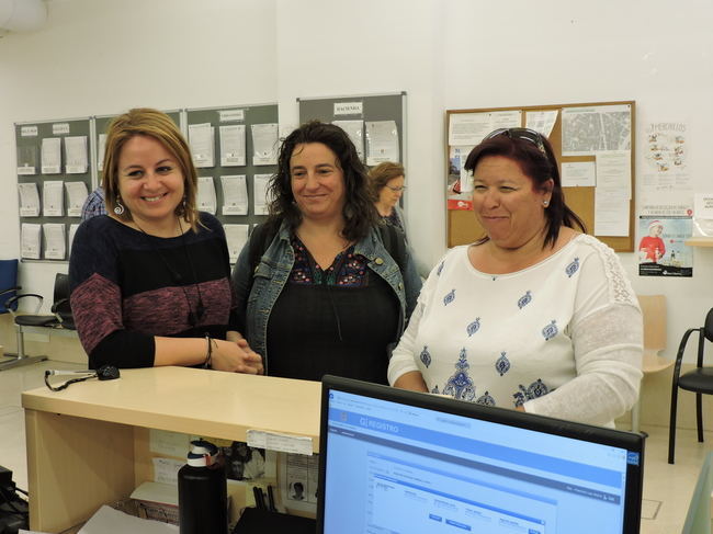 PSOE e IU reclaman protección para las palmeras de la Plaza Vieja durante las obras