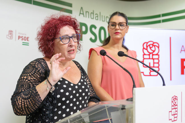 El PSOE subraya el impulso a la lucha contra la violencia de género desde que llegó Sánchez