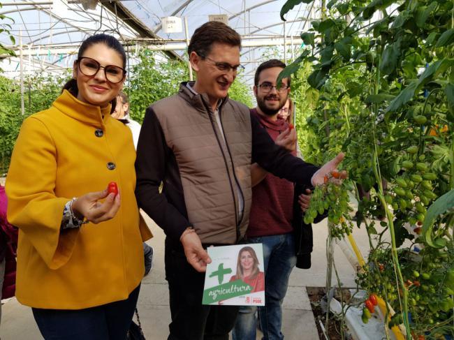 El PSOE recupera el 'banco de tierras' que ya propuso IU