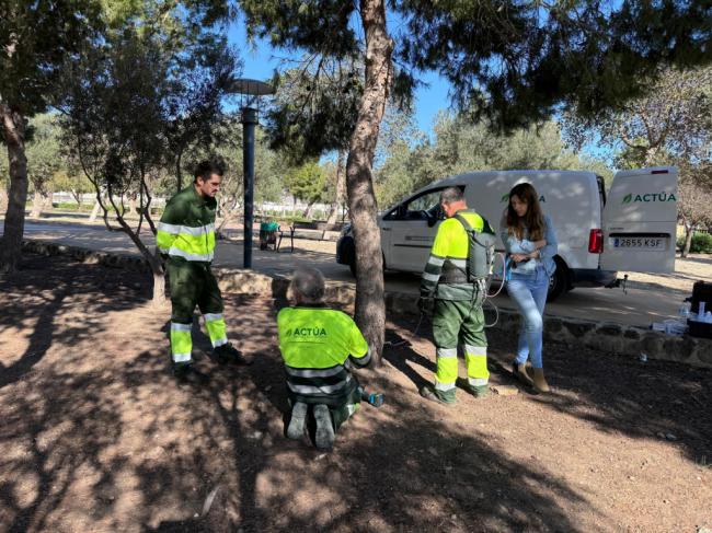 Níjar controla la oruga procesionaria mediante endoterapia
