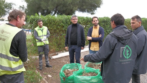 Licitación de poda de árboles y palmeras y mantenimiento de jardines de Adra