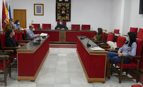 Adjudicada poda de árboles y palmeras de Adra