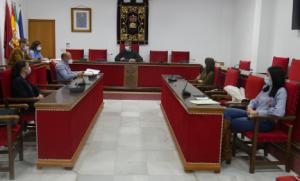 Adjudicada poda de árboles y palmeras de Adra
