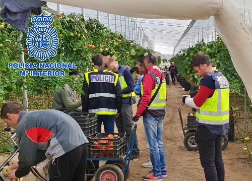 290 personas investigadas en Almería por delitos de Redes de Inmigración Irregular y Trata de Seres Humanos
