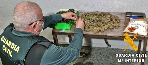 Dos detenidos en Vicar por una platancion casera de marihuana