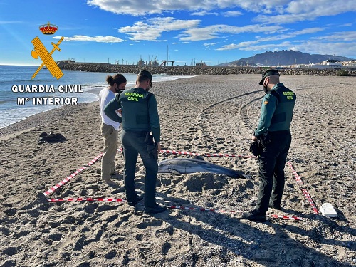 La Guardia Civil apoya a Equinac en dos varamientos de delfines
