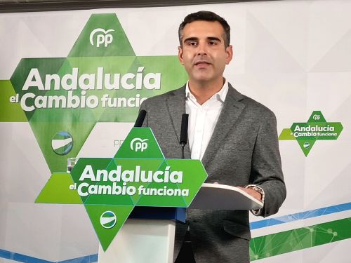 Fernández Pacheco 'solo' se plantea revalidar la Alcaldía en 2023