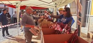 Cientos de almerienses participan en el rescate de parras históricas en Santa Fe de Mondújar