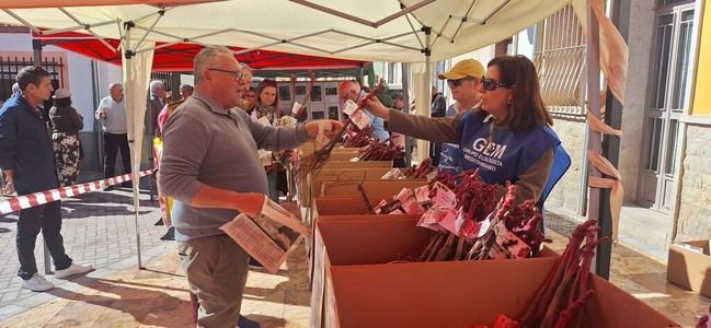Cientos de almerienses participan en el rescate de parras históricas en Santa Fe de Mondújar