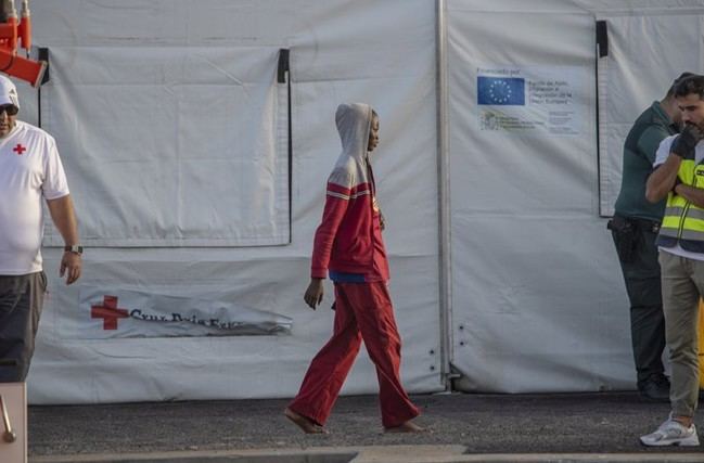 Gobierno evalúa medidas para menores migrantes no acompañados