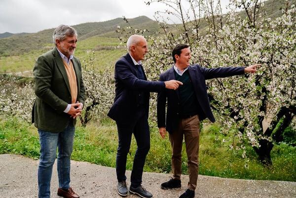 Mejoras en comunicaciones para cuatro municipios del Almanzora gracias a la Diputación