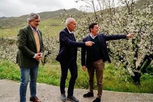 Mejoras en comunicaciones para cuatro municipios del Almanzora gracias a la Diputación