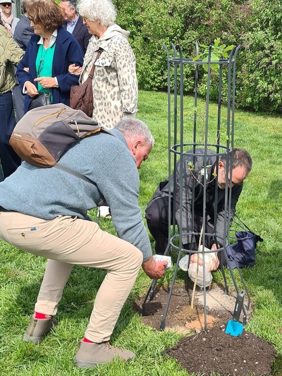 Antas contribuye con tierra al Árbol de la Memoria en Praga