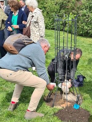 Antas contribuye con tierra al Árbol de la Memoria en Praga