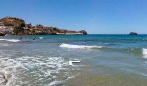 Alerta por virus del Nilo en Pulpí, Almería