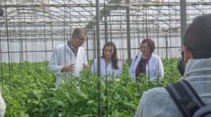 Almería exhibe su potencial tecnológico ante la reina Letizia en el aniversario de Las Palmerillas