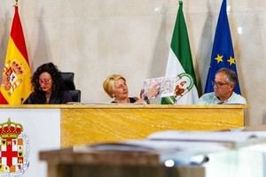 Almería pospone el desdoblamiento de la vía a El Toyo, estimado en 25 millones