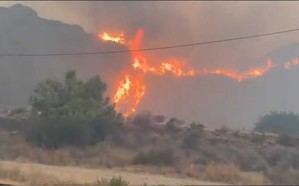 Corte de la A-7 por incendio en Los Gallardos
