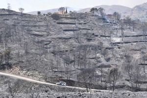 Los Gallardos cancela fiestas patronales por incendio devastador