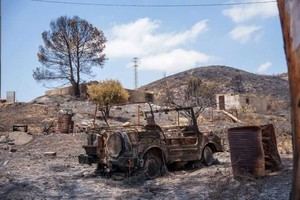 PP: Cooperación institucional clave en el incendio de Los Gallardos