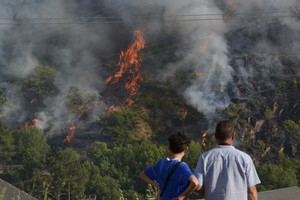 Ecologistas exigen planes municipales urgentes para prevenir incendios forestales