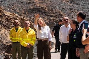 El Gobierno declara Los Gallardos zona de especial afectación tras el incendio