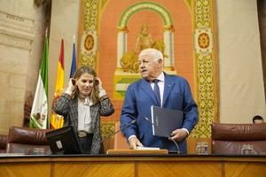 Sanz informa sobre el incendio de Los Gallardos