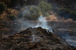 Facua denuncia incumplimientos en los planes de emergencia contra incendios en Andalucía