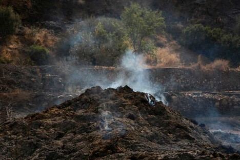 Facua denuncia incumplimientos en los planes de emergencia contra incendios en Andalucía