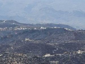 Vecinos de Bédar y Los Gallardos se organizan tras el incendio