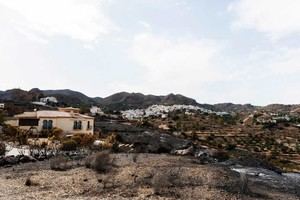 Bédar tramita 42 ayudas por daños del incendio en Los Gallardos
