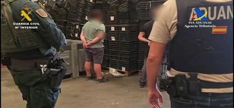 Desmantelan un cargamento de más de 1.200 kilos de cocaína escondido en cocos en Sevilla