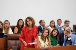 El PSOE se personará como acusación en el incendio de Los Gallardos