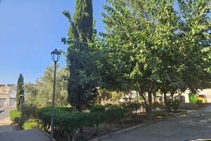 Huércal de Almería tiene más de 7.000 árboles censados, uno por cada 2,7 habitantes