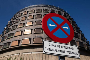 El Constitucional inadmite por prematuro el recurso sobre el voto de la ley de nietos