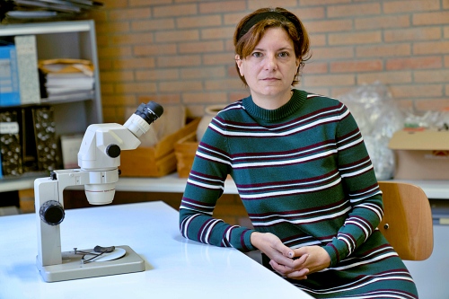 El Consejo Social de la UAL reconoce la investigación del yacimiento de Ciavieja