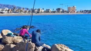 Ayuntamiento de Adra gestiona casi 300 licencias de pesca en 2021