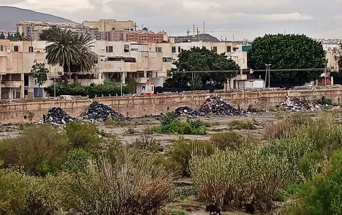  El PSOE denuncia los vertidos incontrolados de basura en El Puche
