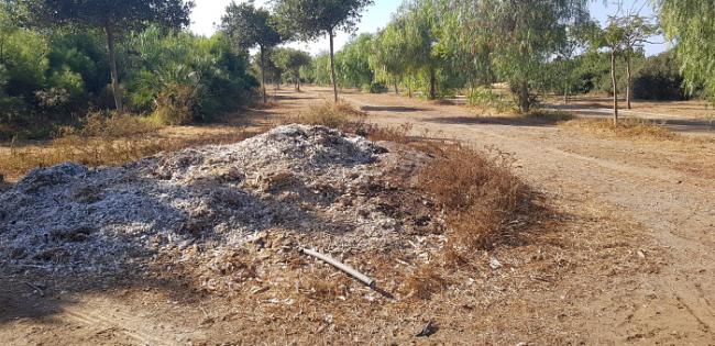 El PSOE pide a la alcaldesa una intervención urgente en el Parque del Andarax