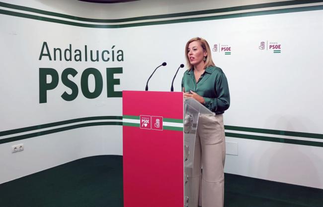 EL PSOE destaca que las medidas Del Gobierno en materia de vivienda