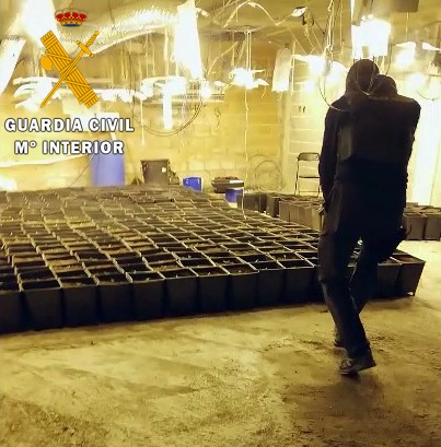 Desmantelan un complejo de viviendas destinadas a producir marihuana en Berja