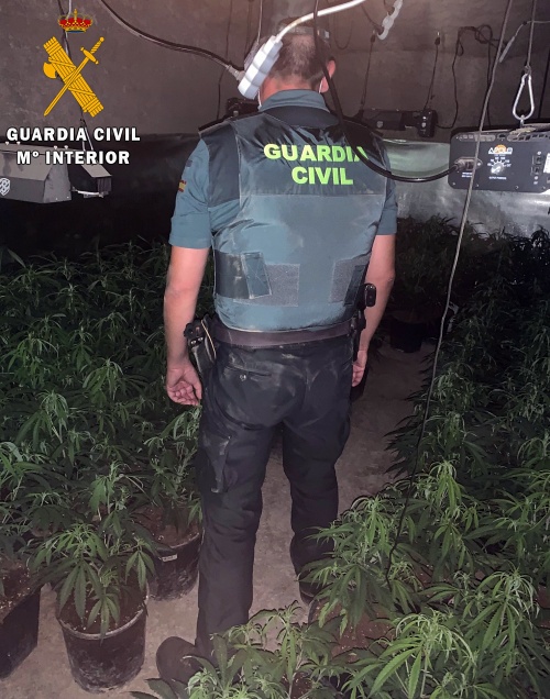 3 detenidos con 5 plantaciones de marihuana en viviendas de Rioja