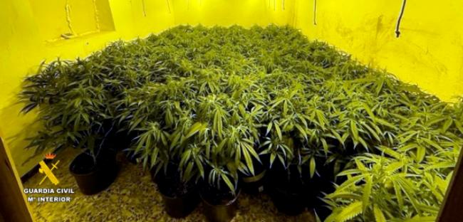Dos detenidos y un investigado por cultivar marihuana en una vivienda de Abla