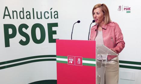 El PSOE considera que el Gobierno de España cumple con Almería