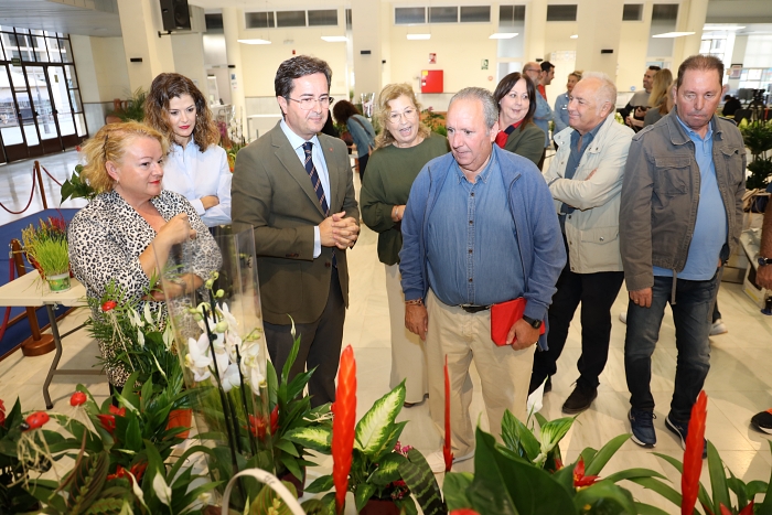 Verde reivindicación en el El Ejido a la atención a la salud mental