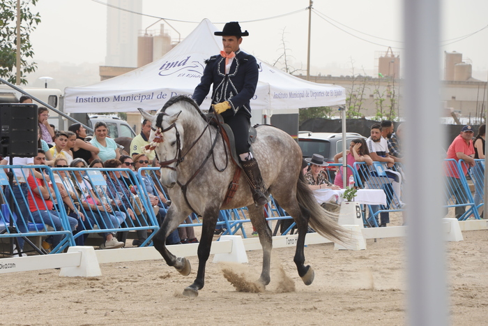 Santa María del Águila celebra la II Feria del Caballo y las Tradiciones Culturales