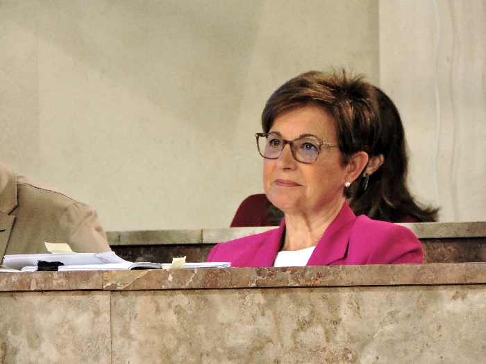 PSOE reprocha al PP no gastar la mitad del presupuesto de inversiones en Almería