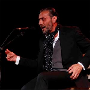 57º Festival de Flamenco y Danza de Almería en plena programación