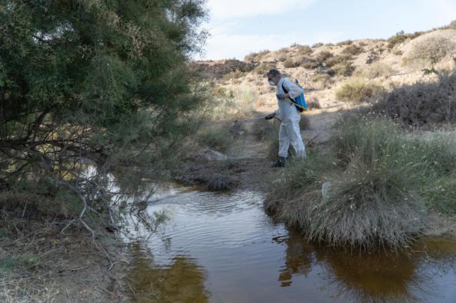 Salud levanta la alerta por la fiebre del Nilo occidental en Retamar-El Toyo y El Alquián